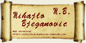 Mihajlo Bjeganović vizit kartica